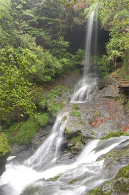 仙寓山富硒村