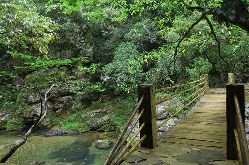 仙寓山富硒村