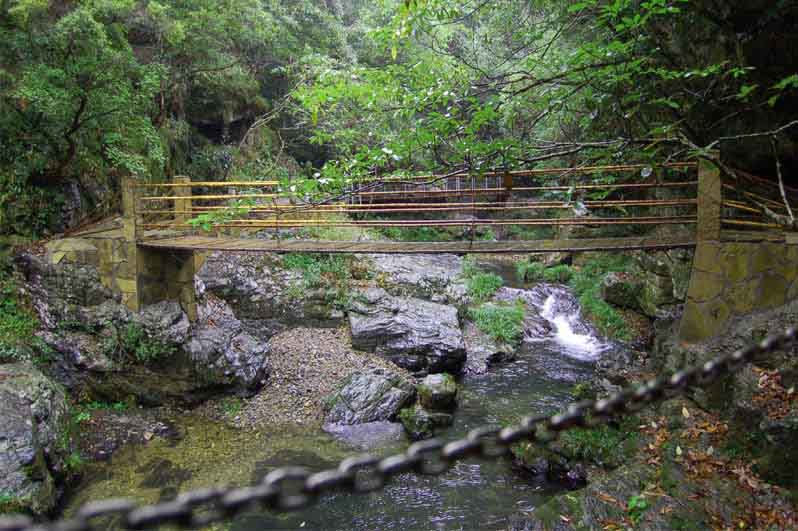 仙寓山富硒村