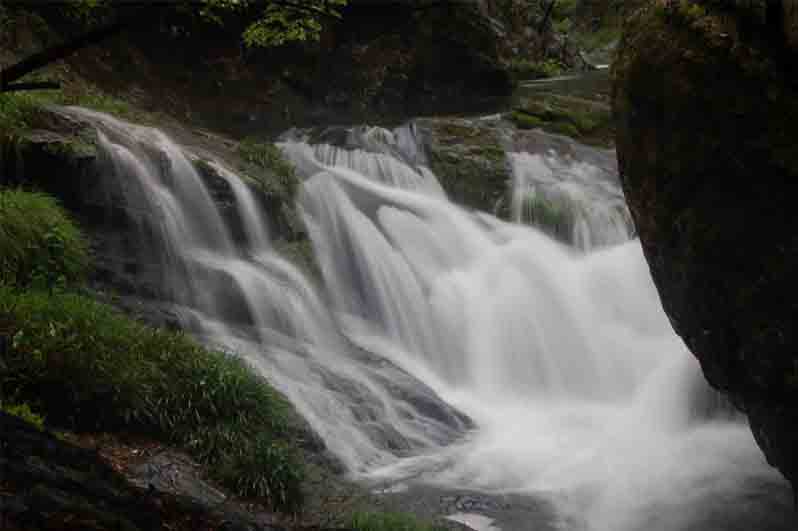 仙寓山富硒村