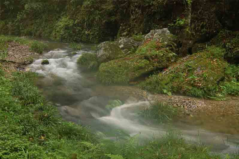 仙寓山富硒村