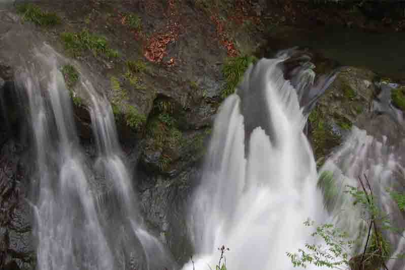 仙寓山富硒村