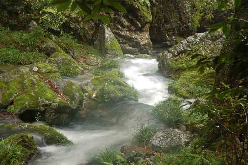 仙寓山富硒村