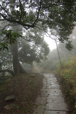 仙寓山古道遗韵