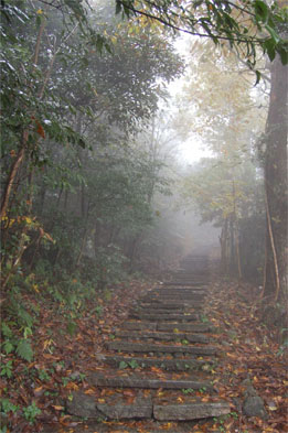 仙寓山古道遗韵