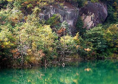 天台山森林公园