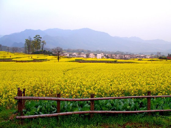 桃花源漂流沿途风景