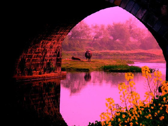 桃花源漂流沿途风景