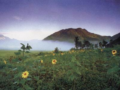 高山湿地－－大九湖