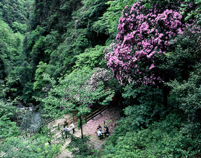 鬼子寨