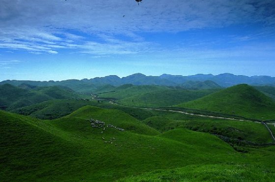 南山风光一