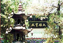 少林寺院