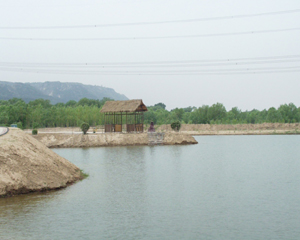 黄河外滩（星海湖）景区