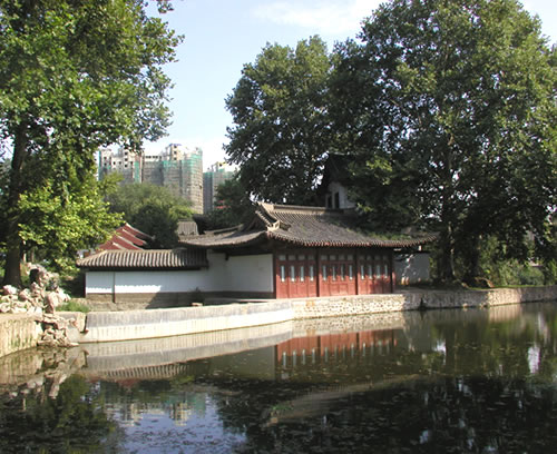 清漪碧莲