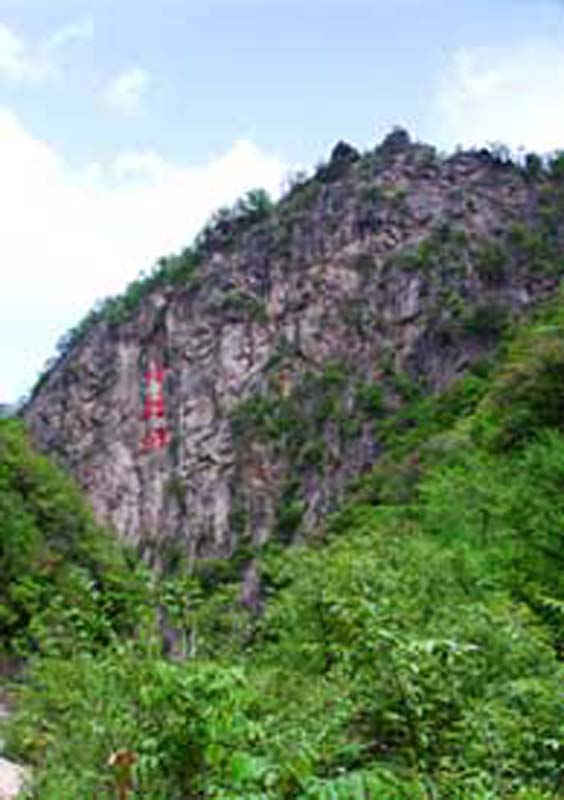 蜂糖崖:行人吃蜜享乐的乐园