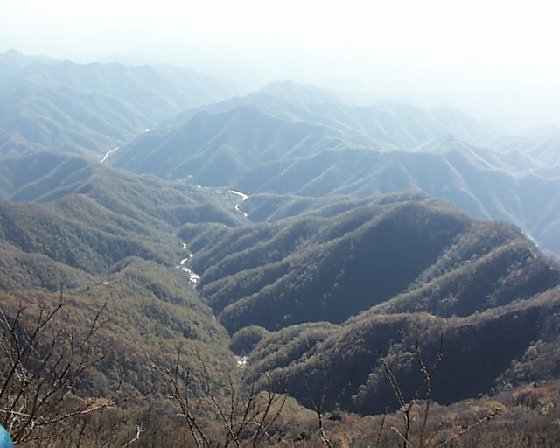 先生何处去，王屋访茅居