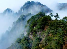 宜春明月山国家森林公园