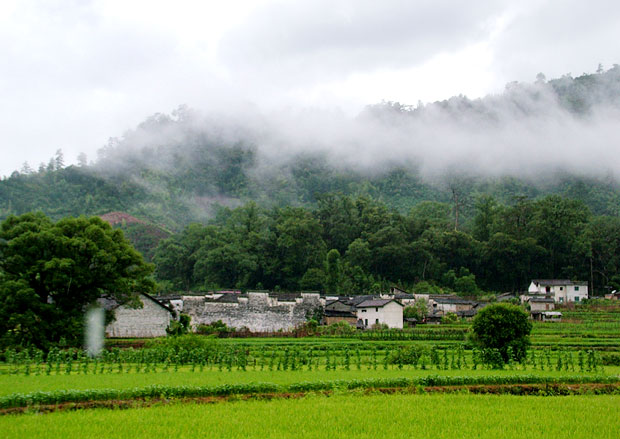 乡村雨后