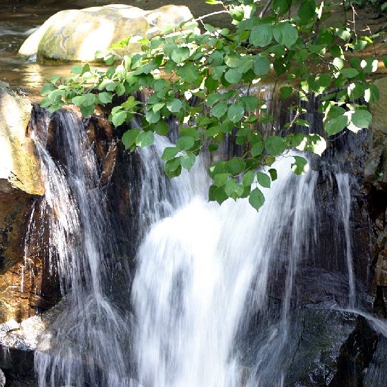 花果山景区(5)