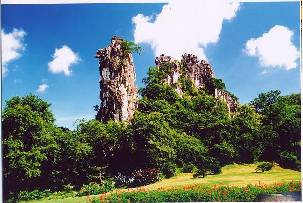 骆驼山印象之夏