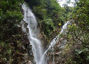 鼎湖山