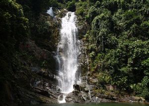 鼎湖山