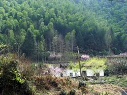 牛鱼嘴原始生态风景区