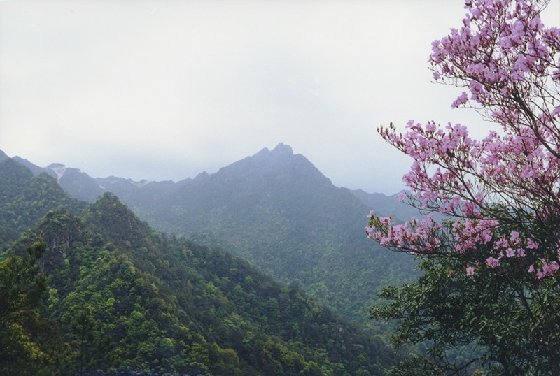 阴那山