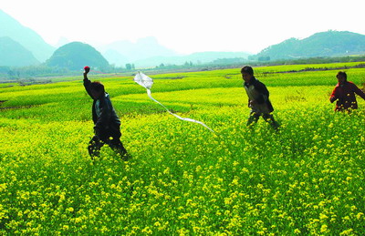 菜花峪景色