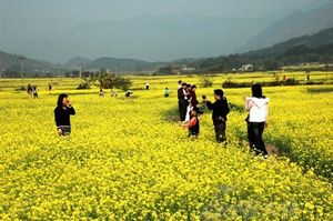 菜花峪景色