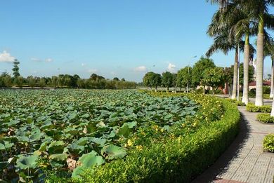 吴川蛤岭村