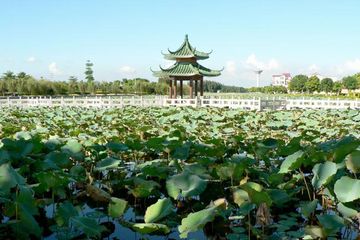 吴川蛤岭村