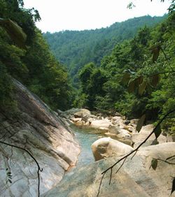 大东山温泉