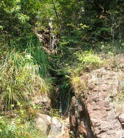 大东山温泉