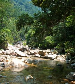 大东山温泉