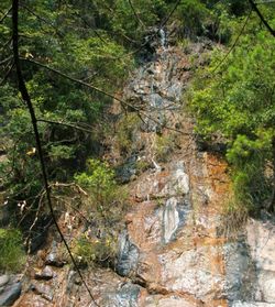 大东山温泉