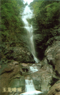 莲花山森林公园