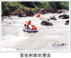 龙鲸河漂流