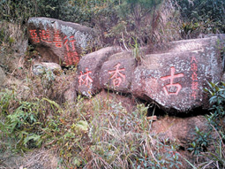 南山古香林