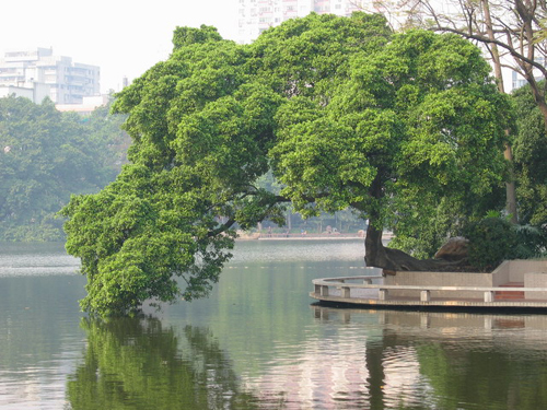 东山湖公园