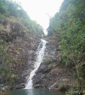 叫水坑原始森林