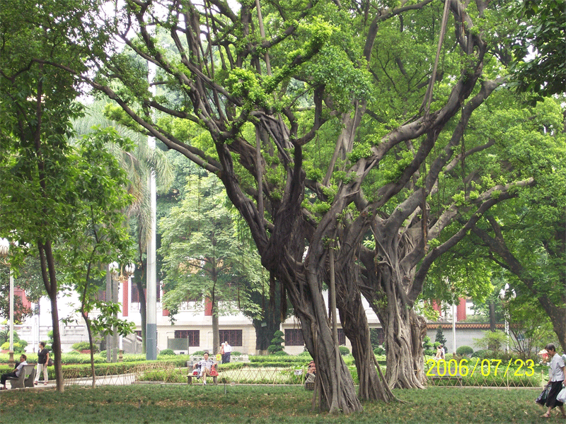 人民公园