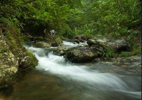 龙湾自然生态村