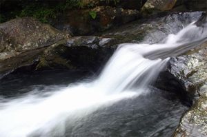 龙湾自然生态村