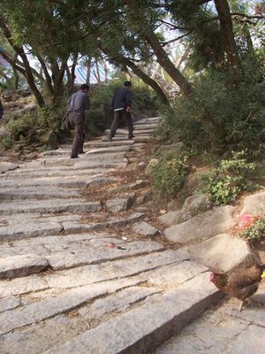 金厢滩滨海旅游区