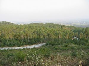 螺岗岭风景