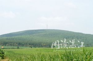 螺岗岭风景