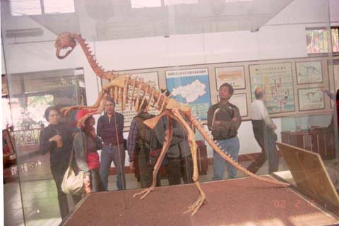 韶关恐龙博物馆