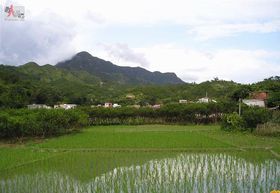 观天嶂景区