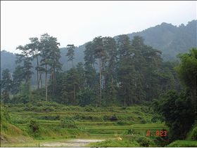 鹰扬关景区